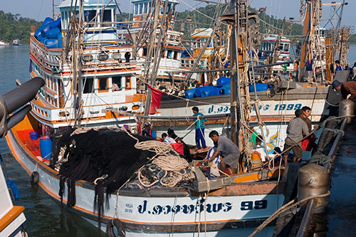 Thailändska fiskebåtar