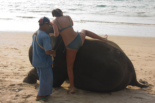 Tina bestiger elefant